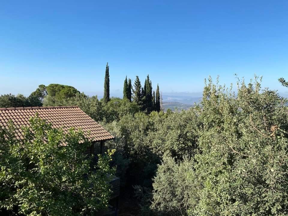 Roof Of The Galilee Villa Amirim Exterior photo
